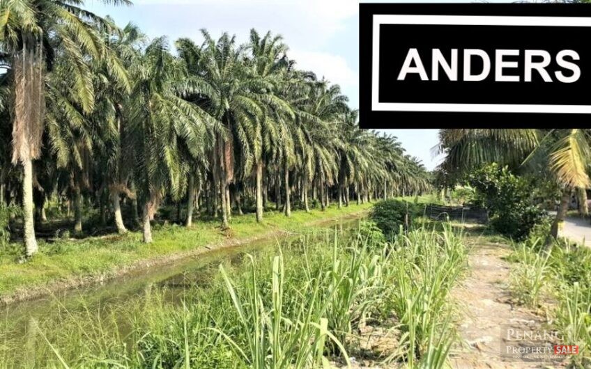 Simpang Ampat Flat Agriculture Land Residential Zoning Freehold Near Eco Meadows For Sale