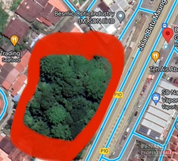 Batu Maung Residential Land For Sale